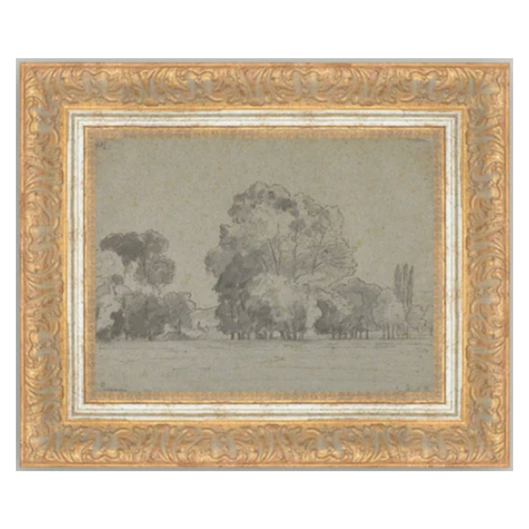 Grove Of Trees
