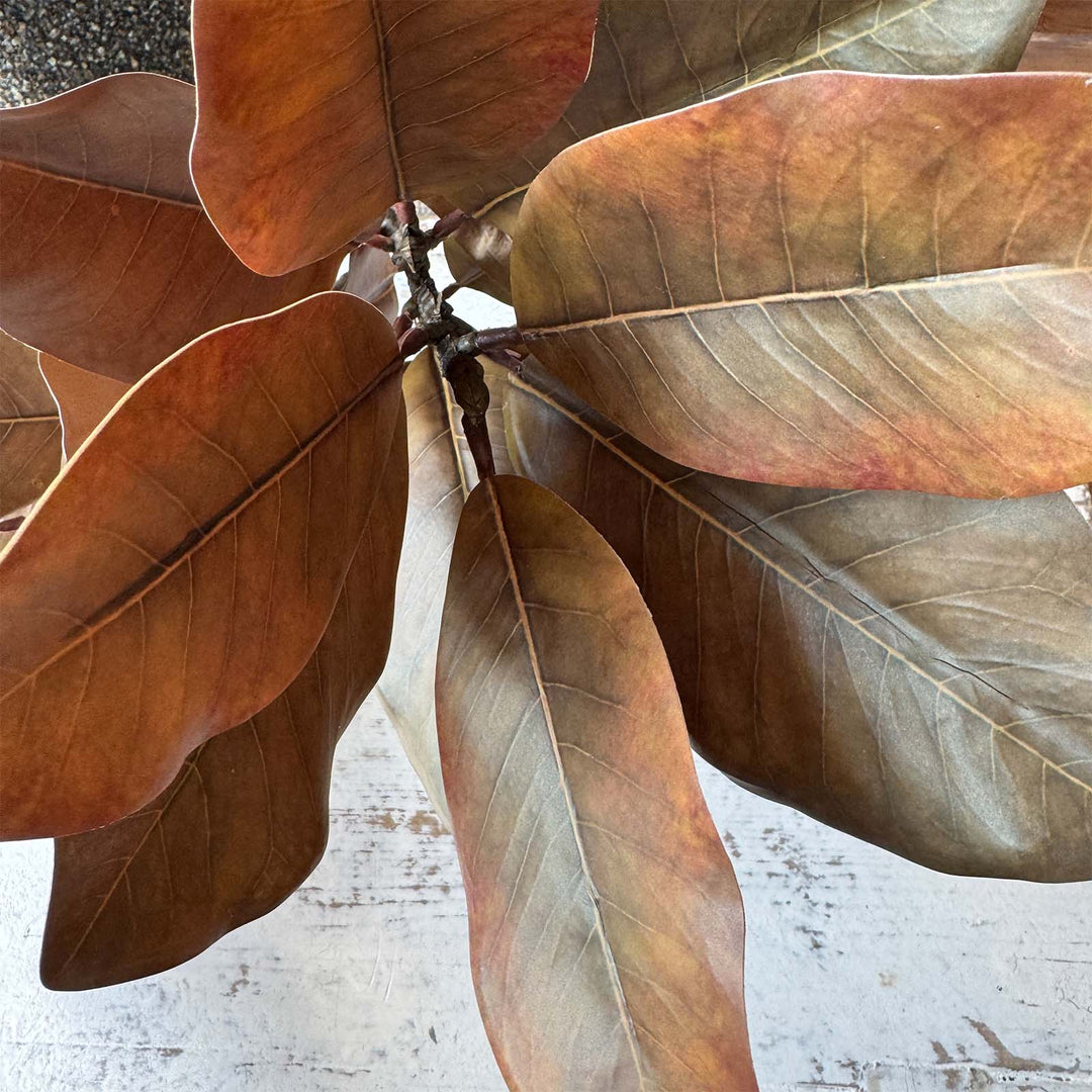 Magnolia Leaf Stem - Green