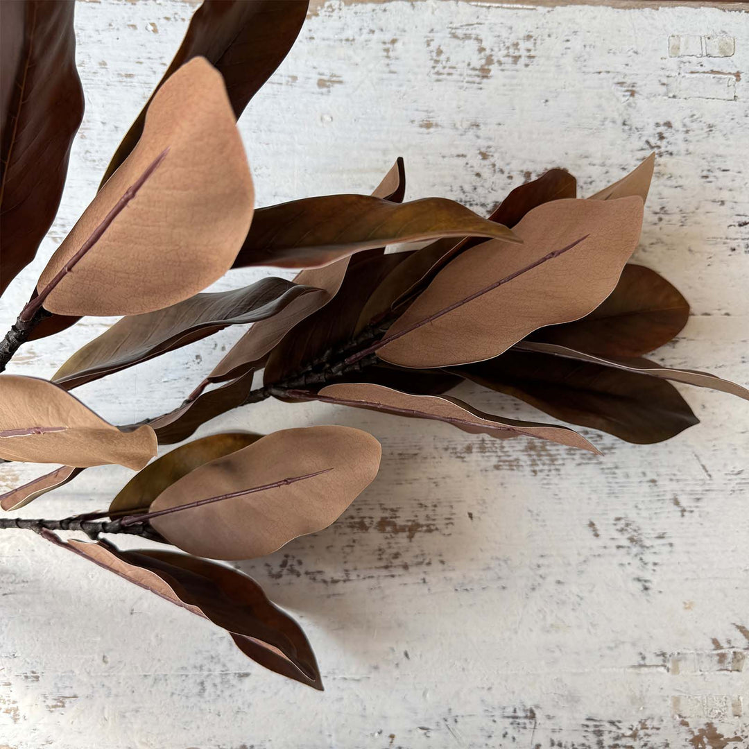Magnolia Leaf Stem - Green