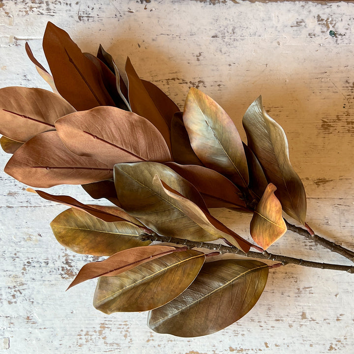 Magnolia Leaf Stem - Green