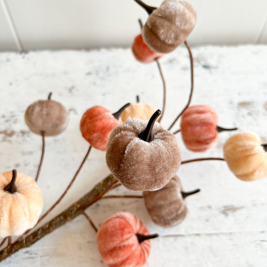 Stem w/ Pumpkins