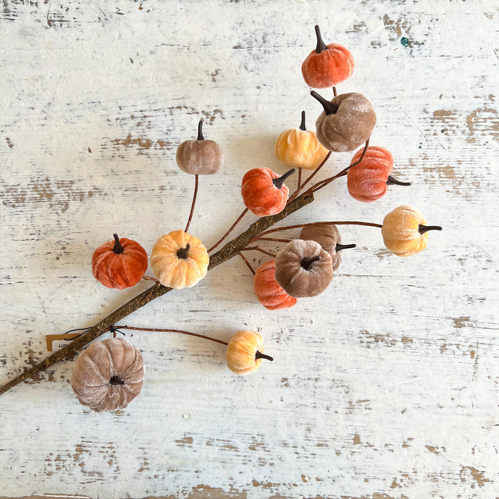 Stem w/ Pumpkins