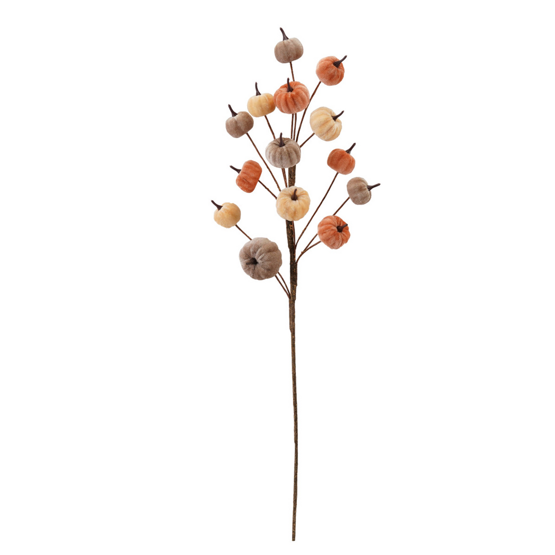 Stem w/ Pumpkins