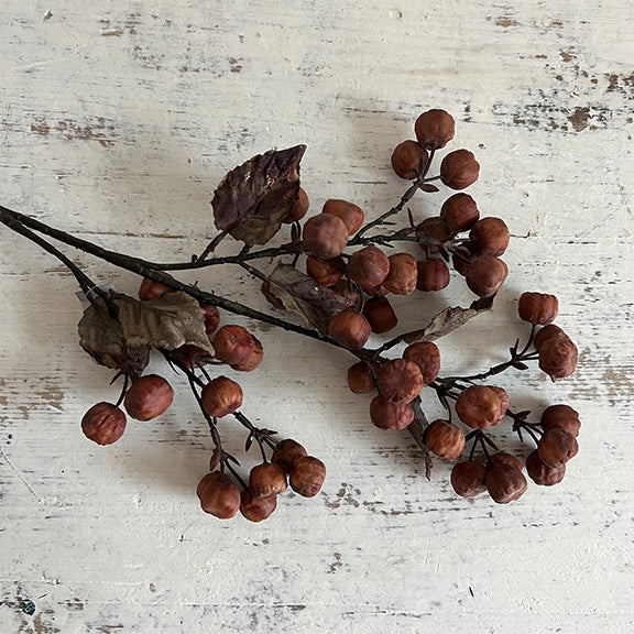 29" Brown Pod Stem