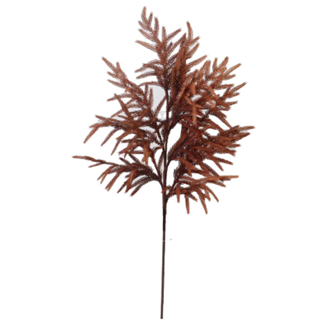 36" Rust Norfolk Pine