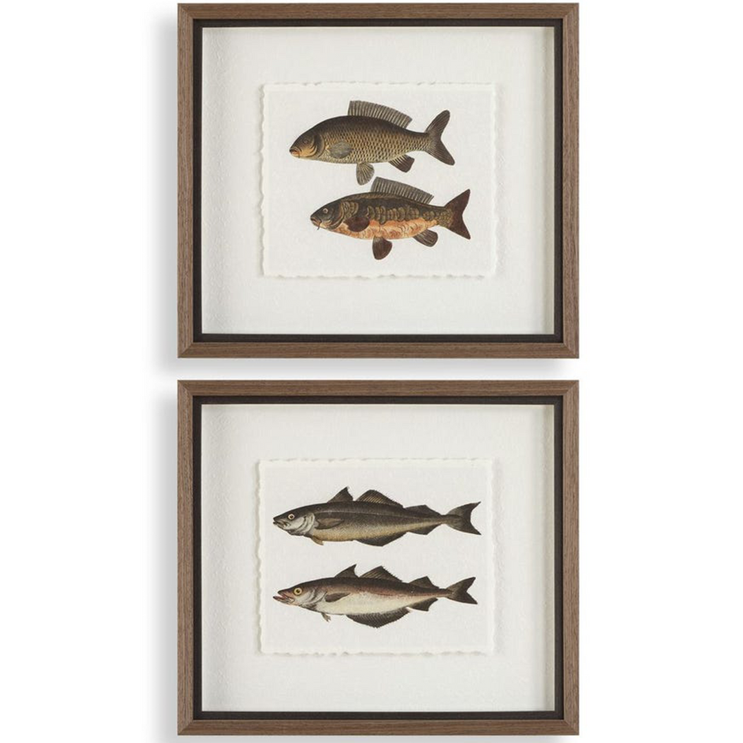 Carp Print