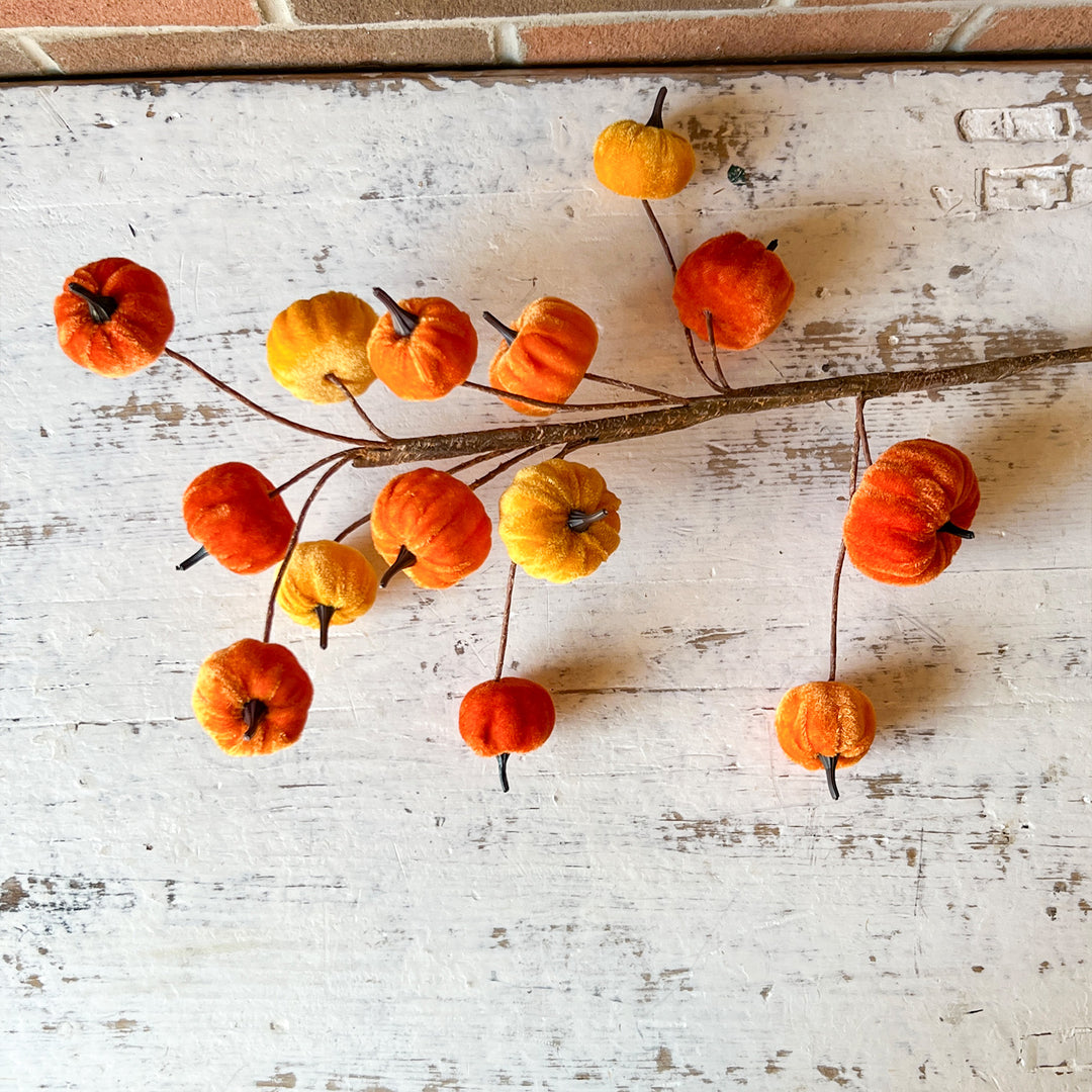Velvet Pumpkin Spray