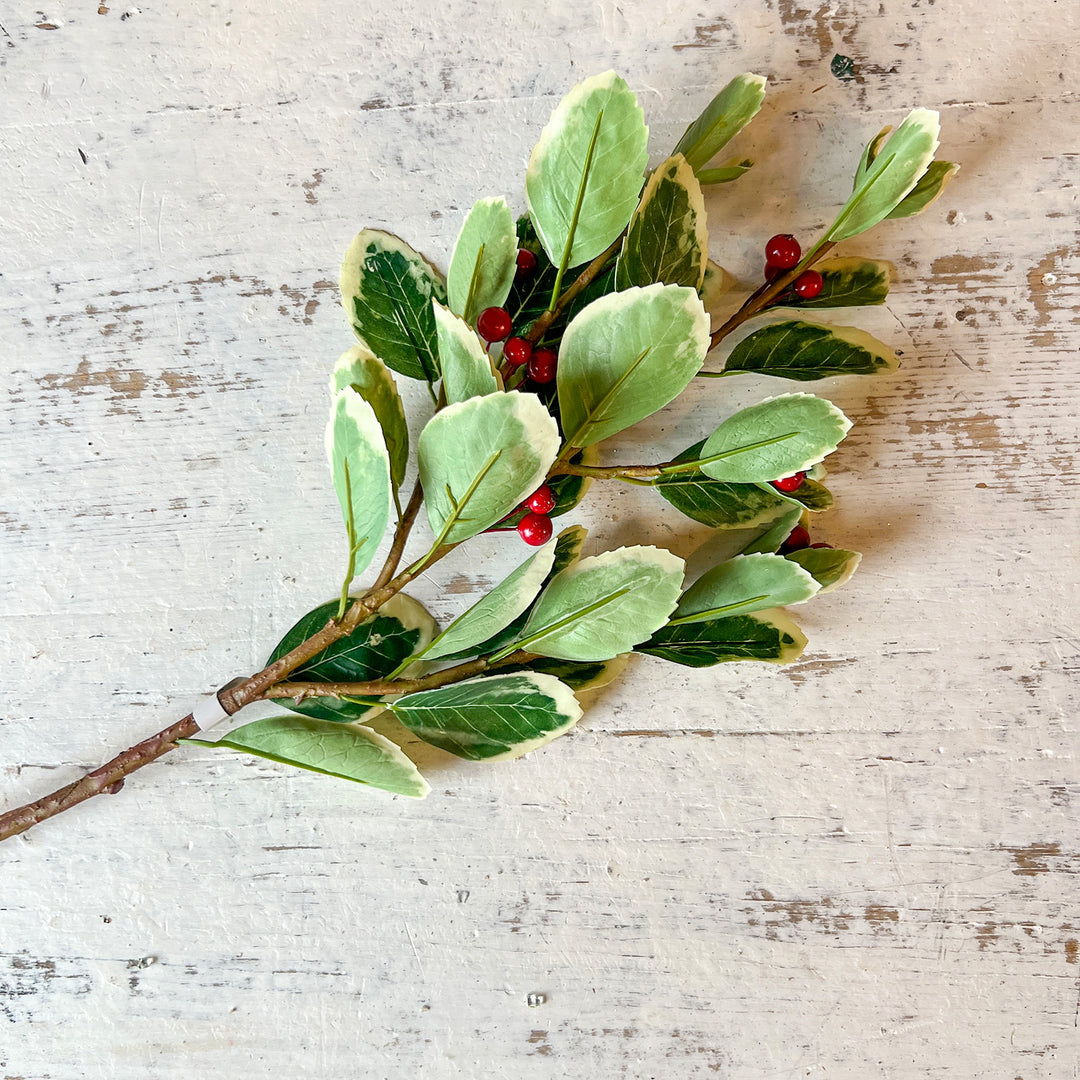 Berry Leaf Spray