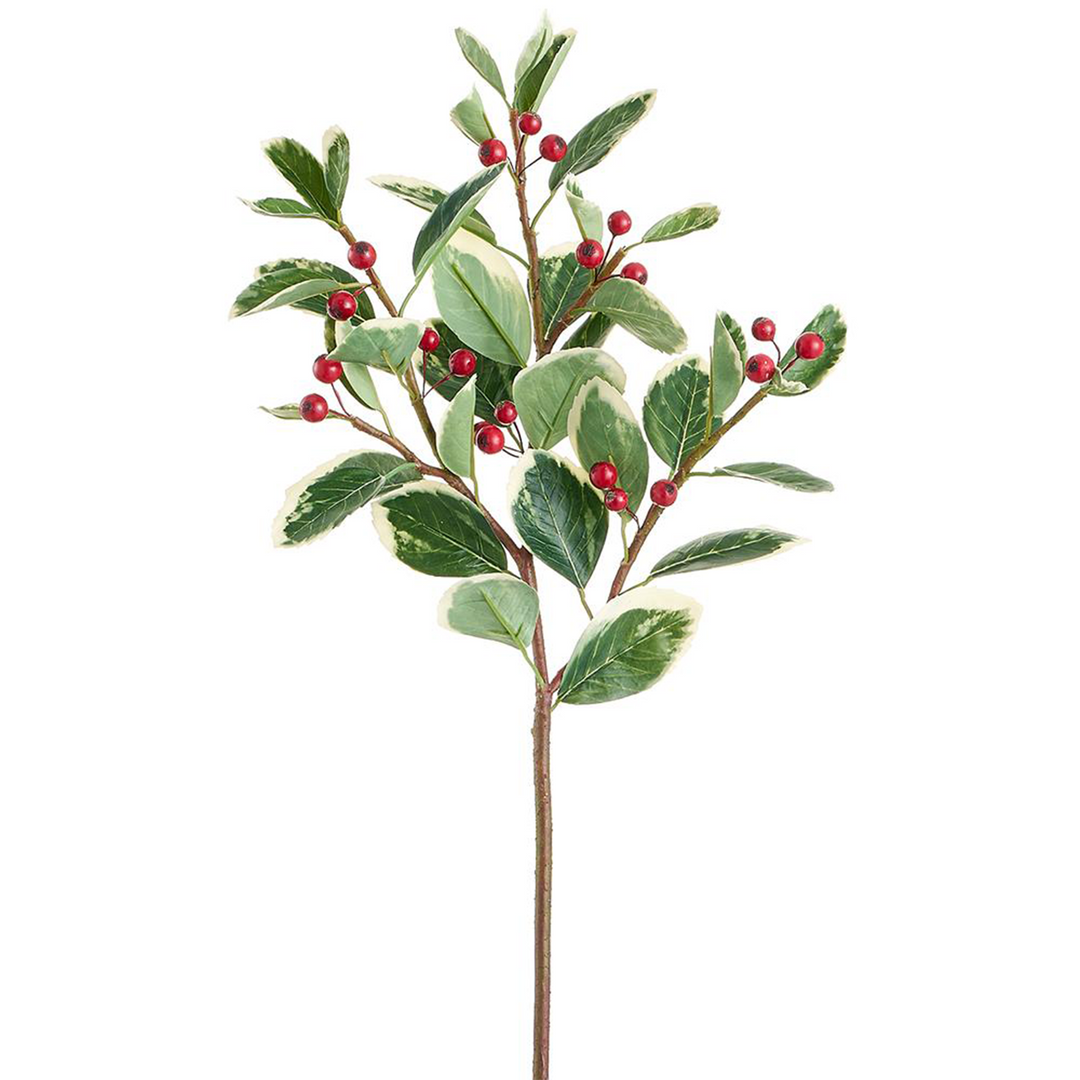 Berry Leaf Spray