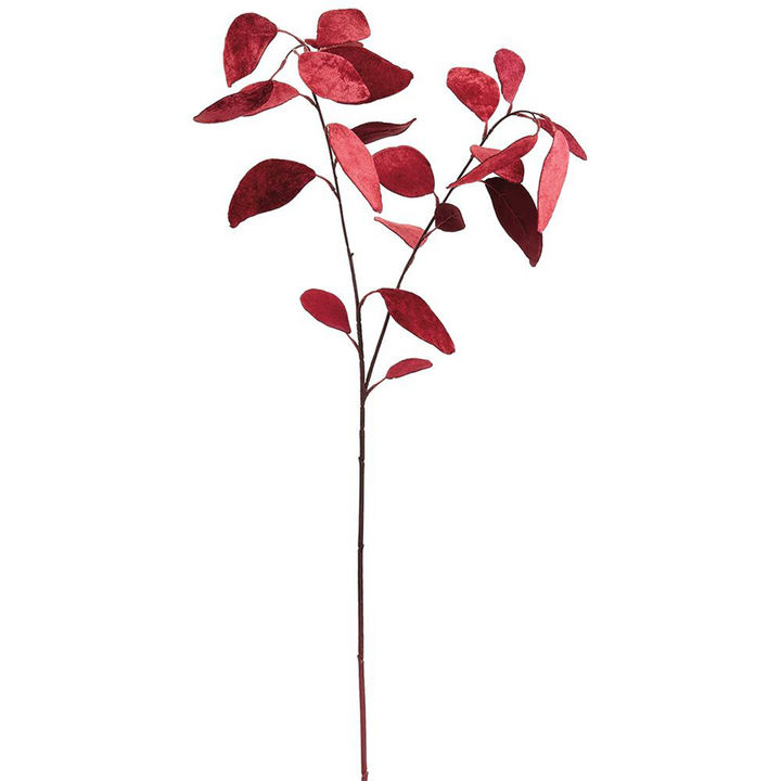 Velvet Eucalyptus - Red