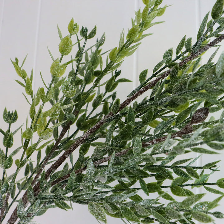 Frosted Ruscus Leaf