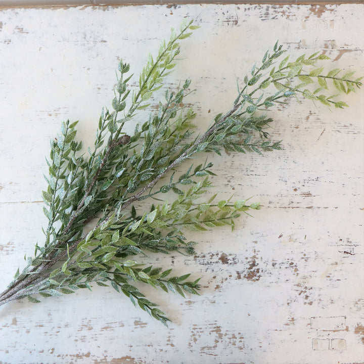 Frosted Ruscus Leaf