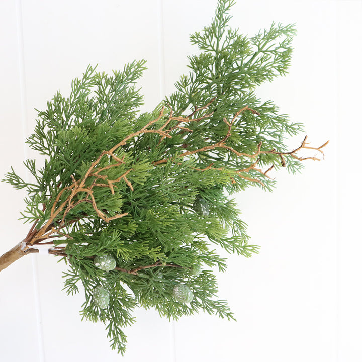 Juniper - Green