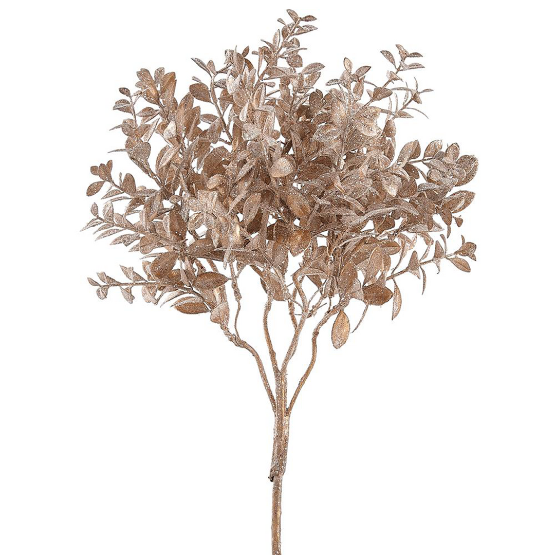 Glittered Boxwood - Champagne