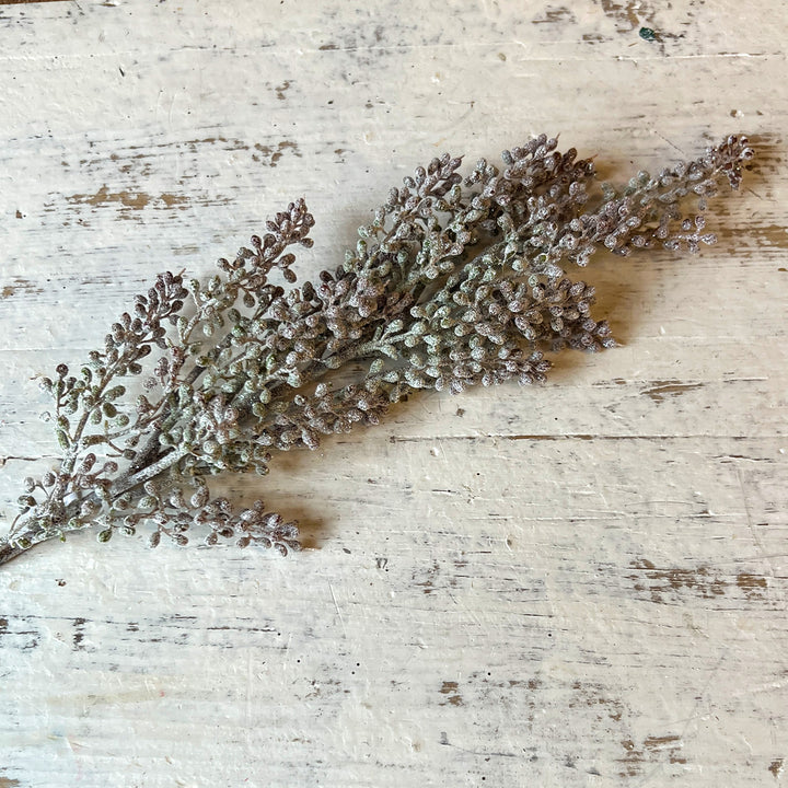 Snowed Sedum - Burgundy