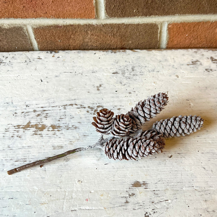 Iced Pine Cones
