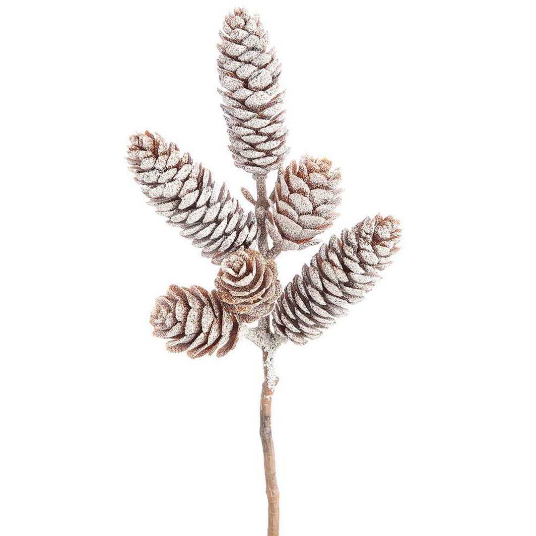 Iced Pine Cones