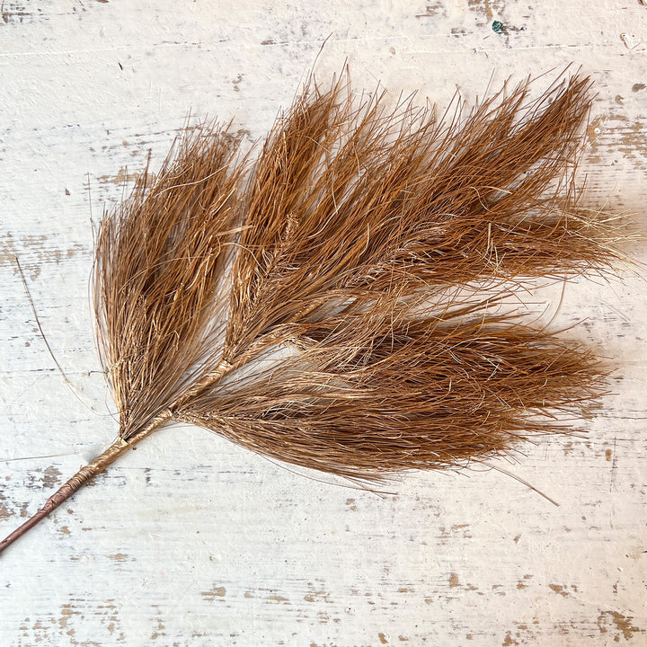 Long Needle Pine - Gold