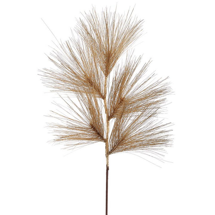 Long Needle Pine - Gold