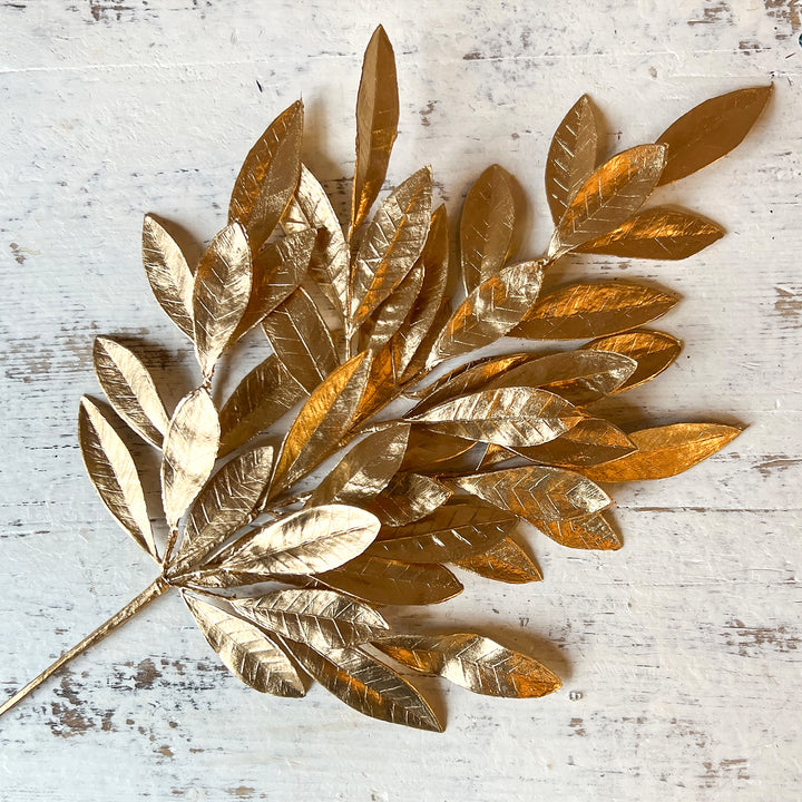 Bay Leaf - Gold