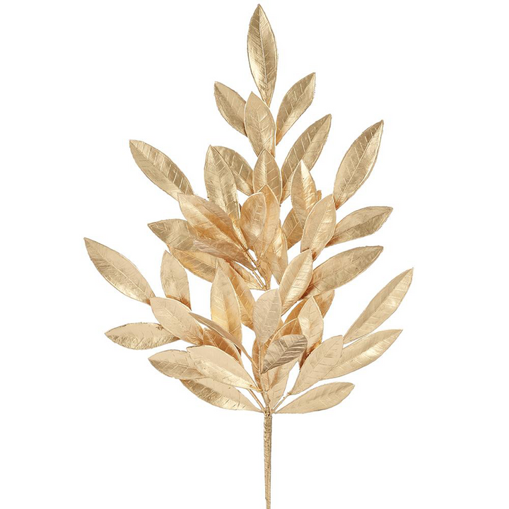 Bay Leaf - Gold