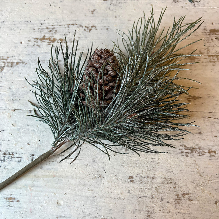 Snowed Needle Pine