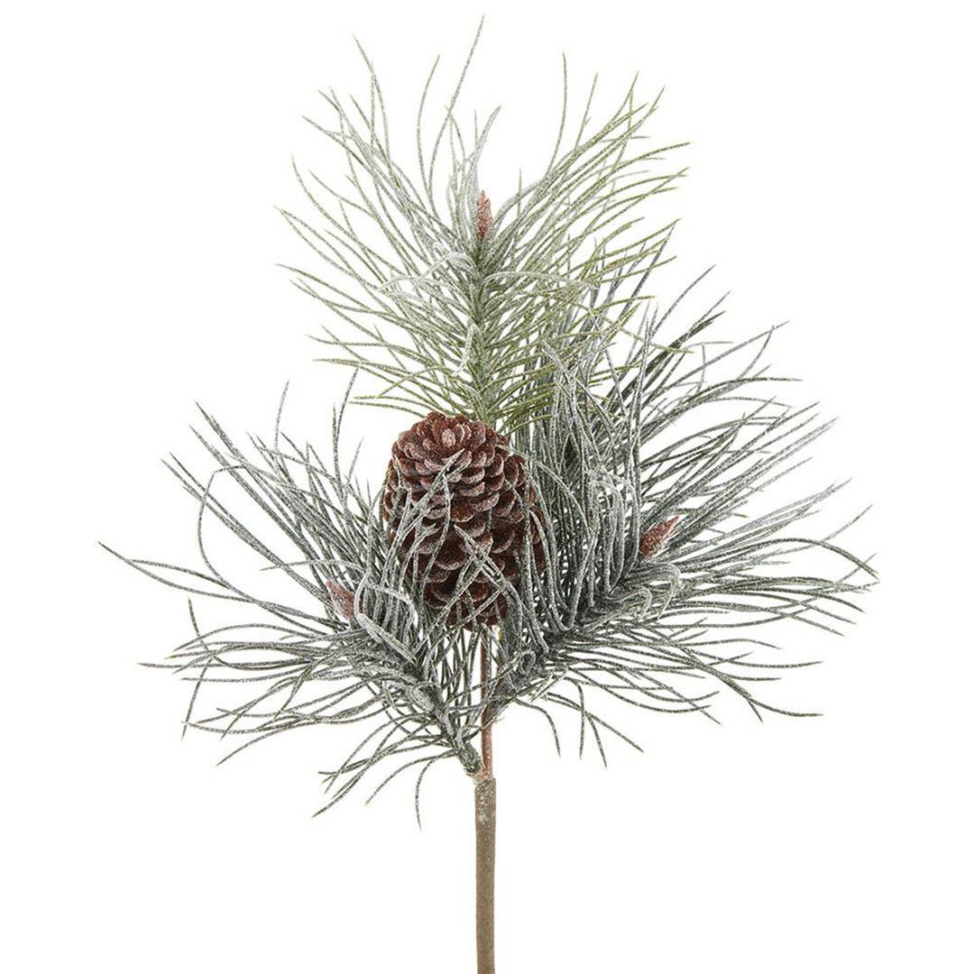 Snowed Needle Pine
