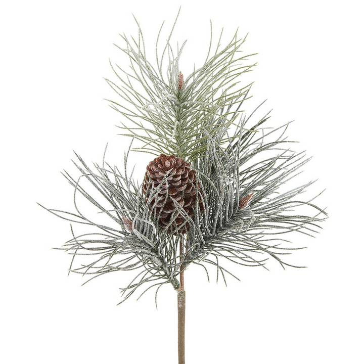 Snowed Needle Pine