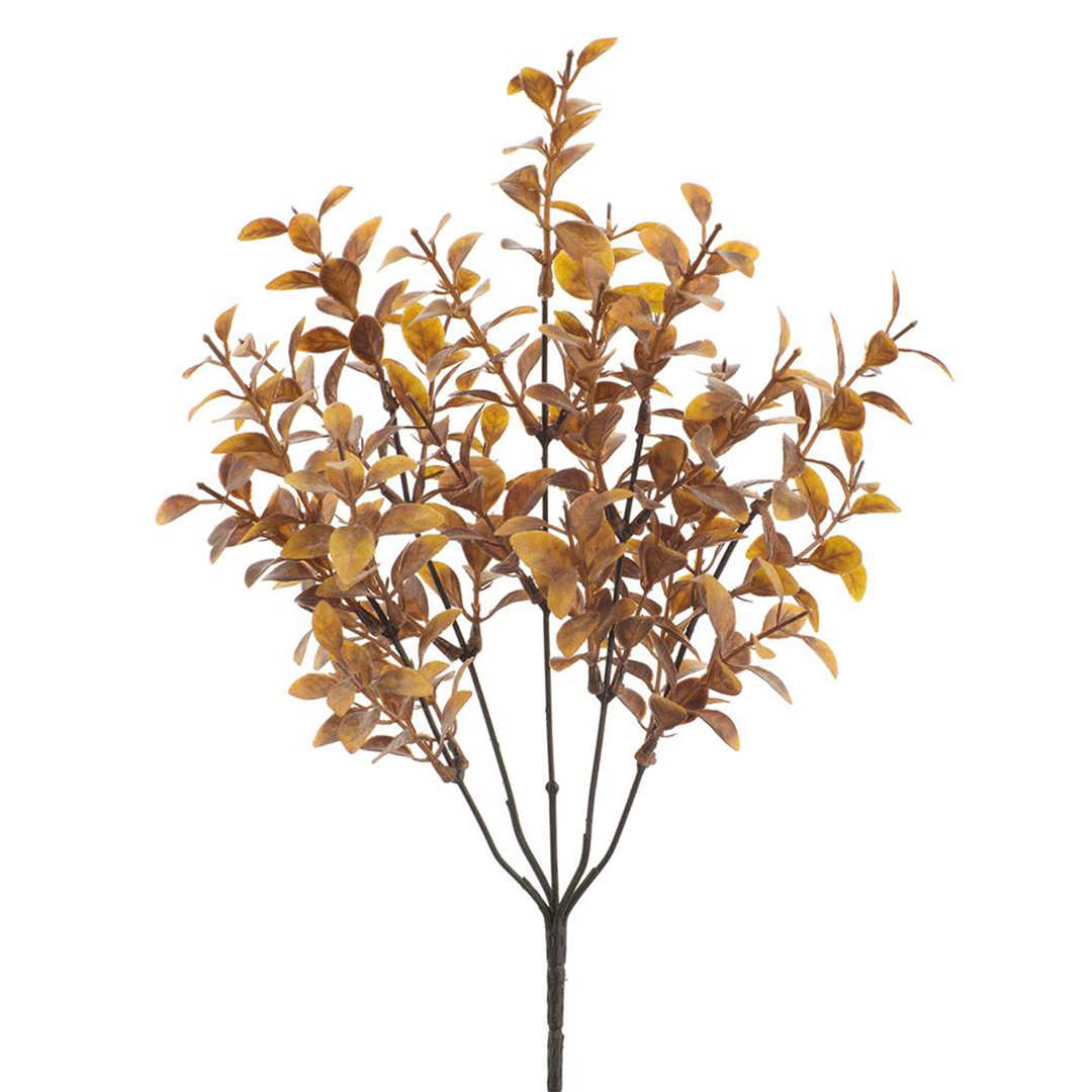 Tea Leaf