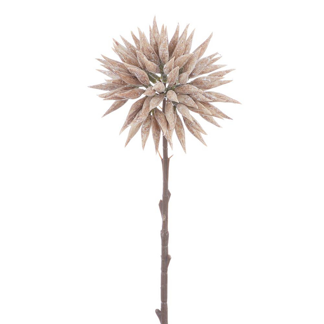 Seed Spray - Brown