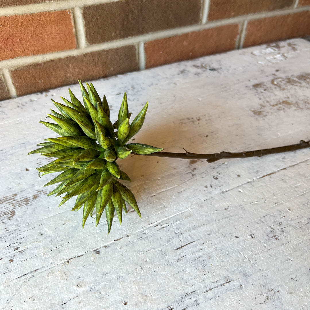 Seed Spray - Green