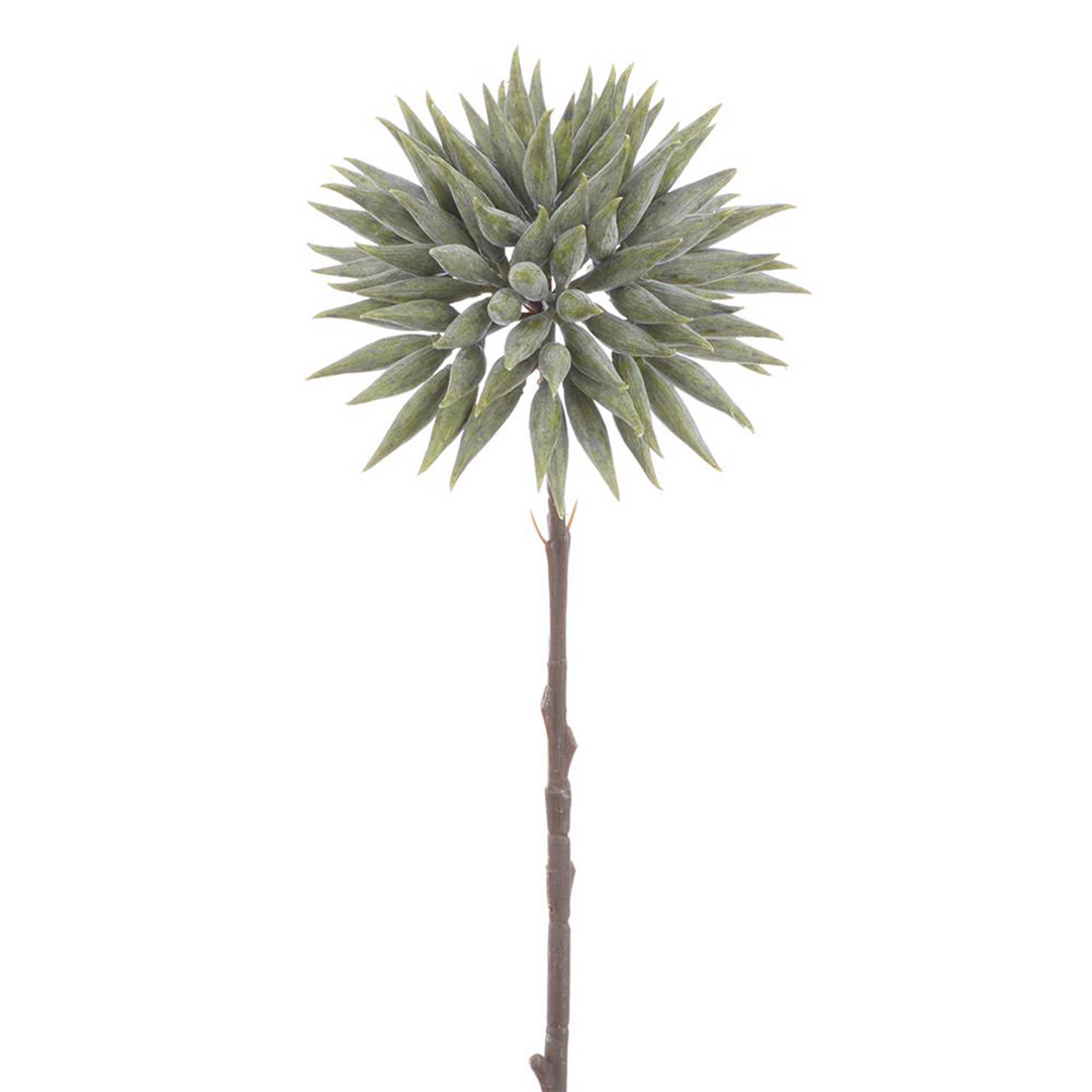 Seed Spray - Green