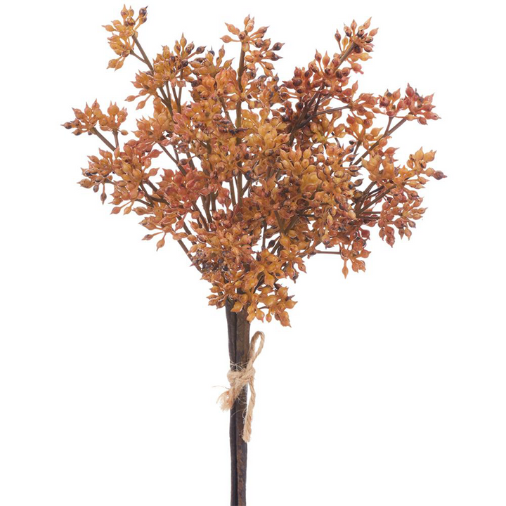 Sedum Bundle - Brown