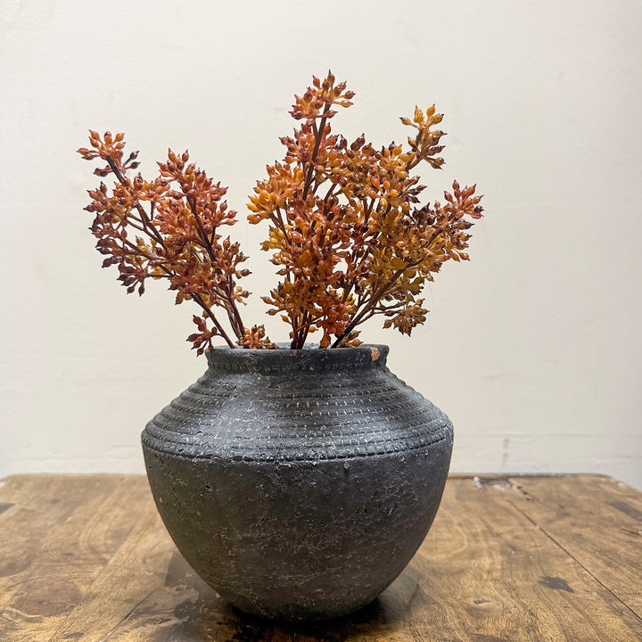 Sedum Bundle - Brown