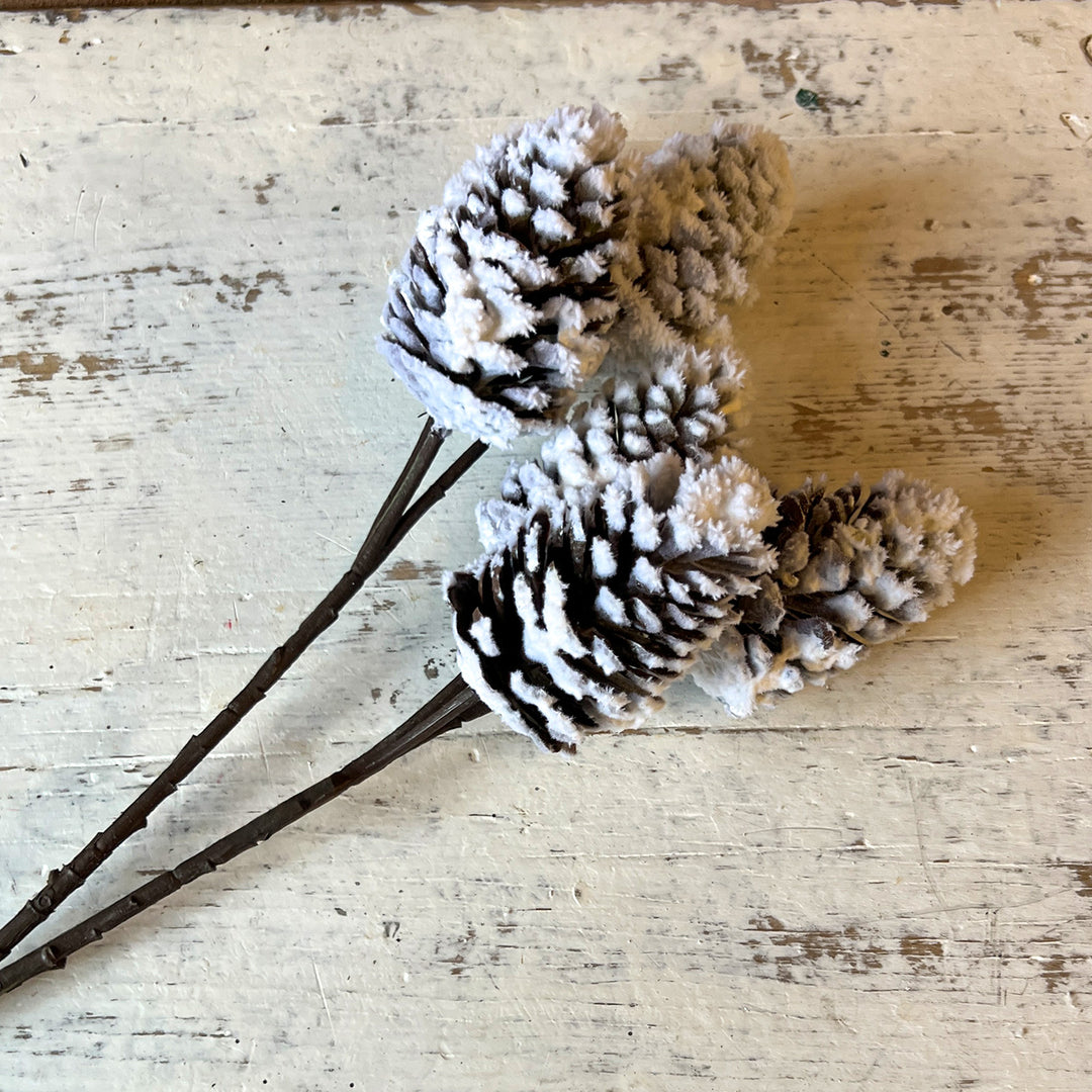 Pinecone Spray with Snow