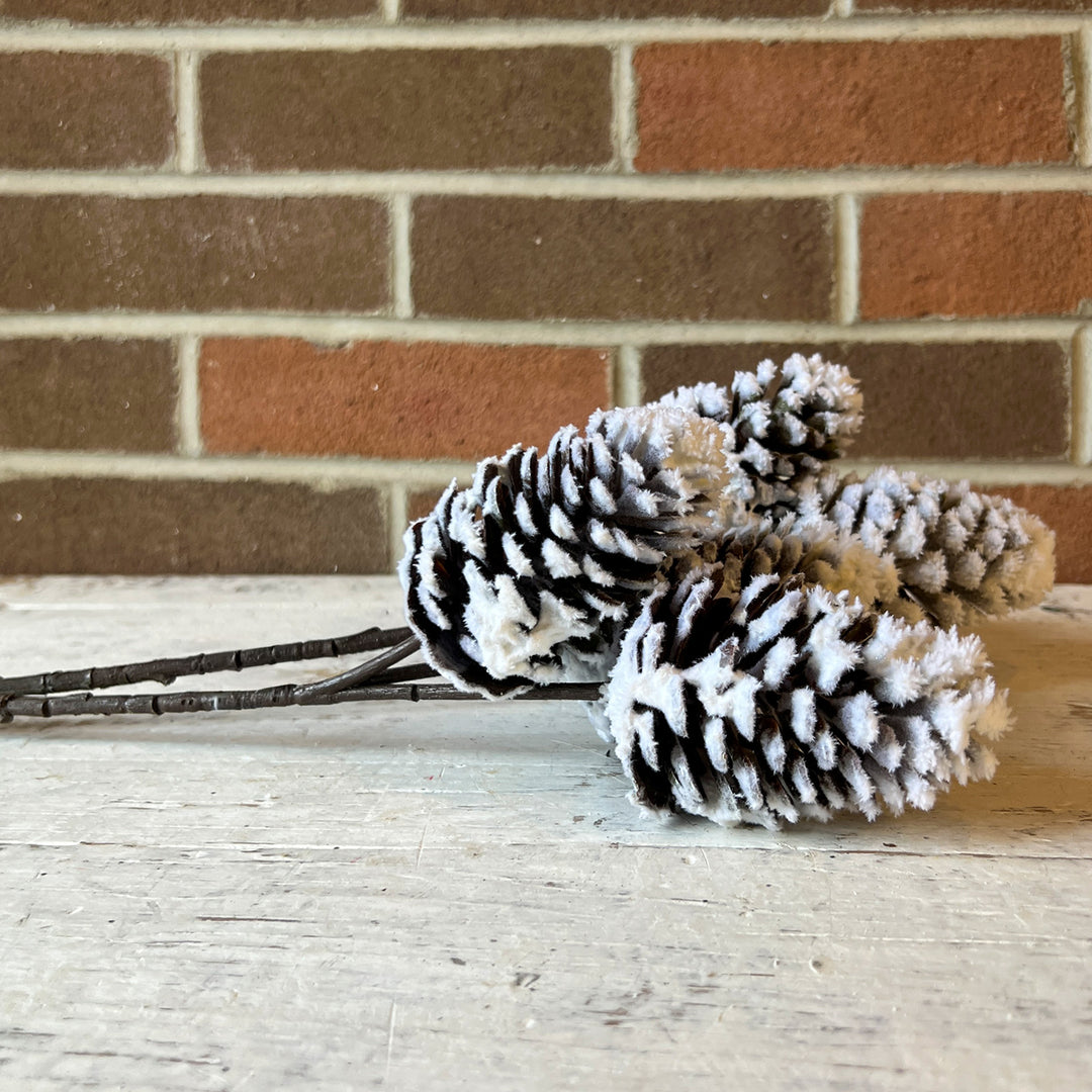 Pinecone Spray with Snow