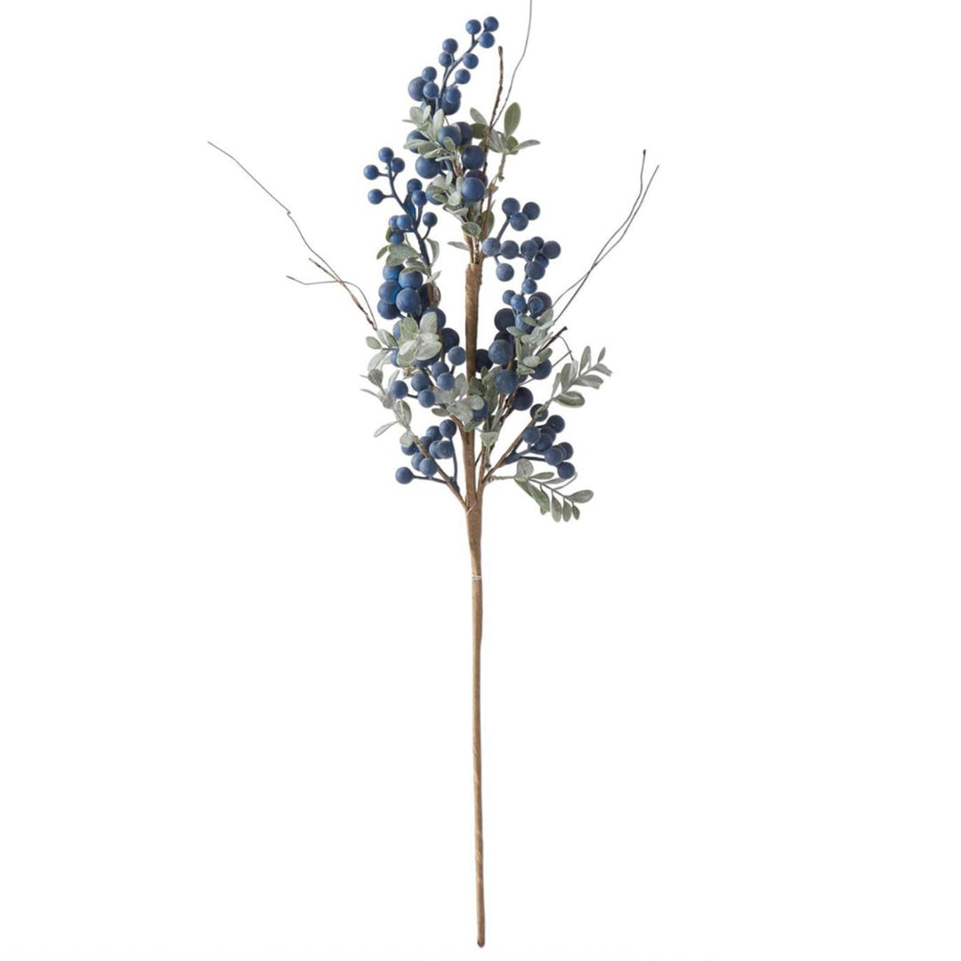 Blue Grape Berry Stem