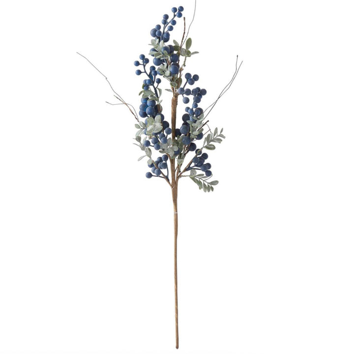 Blue Grape Berry Stem