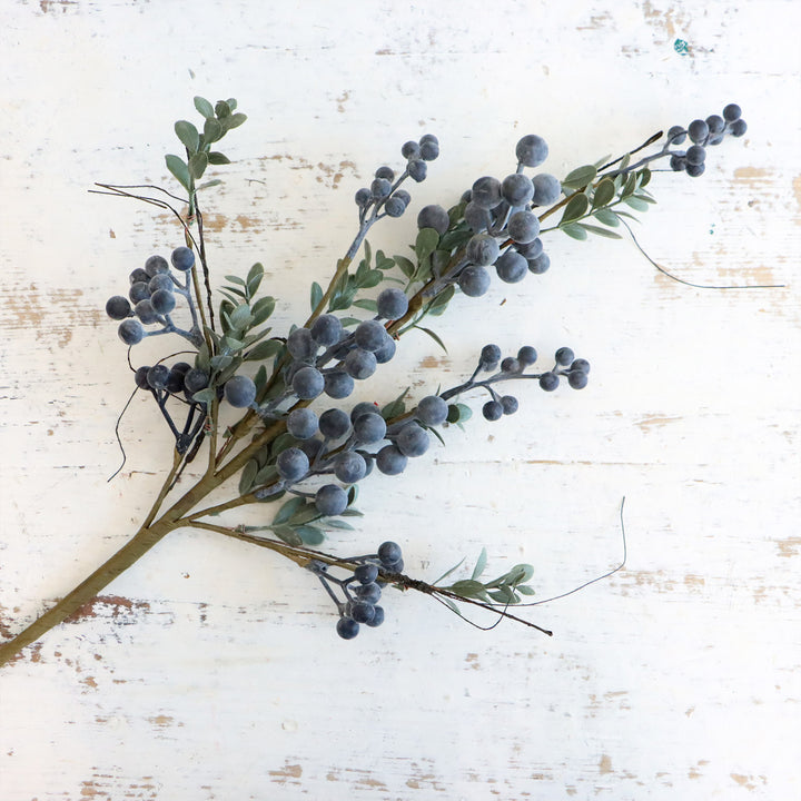 Blue Grape Berry Stem