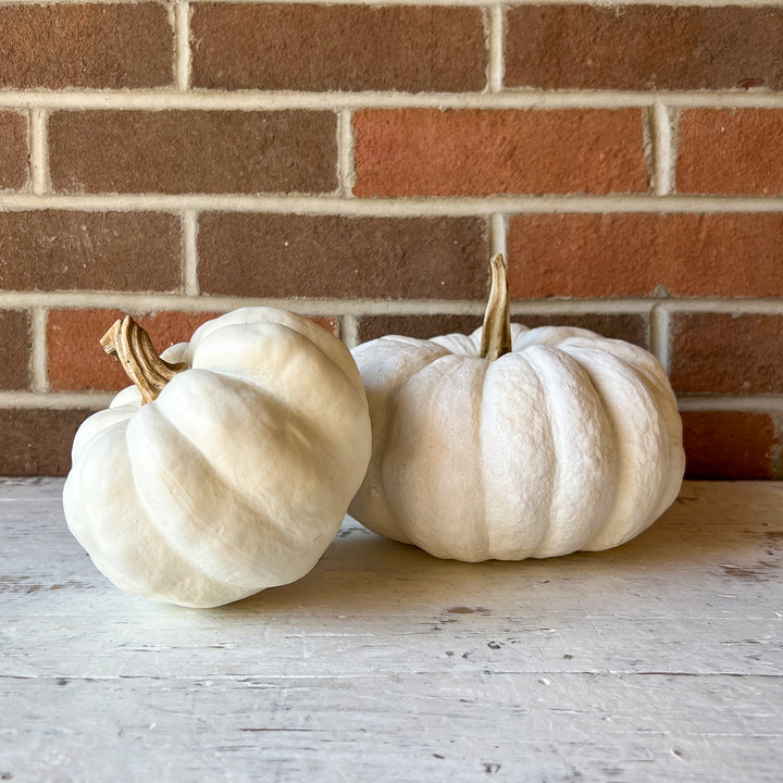 White Pumpkin