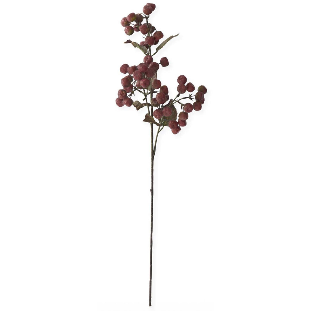 Burgundy Pod Stem