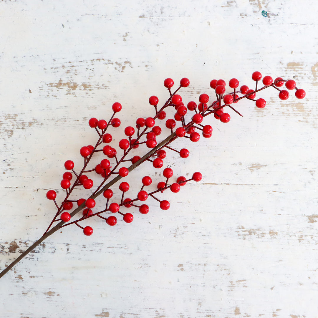Red Berry Spray