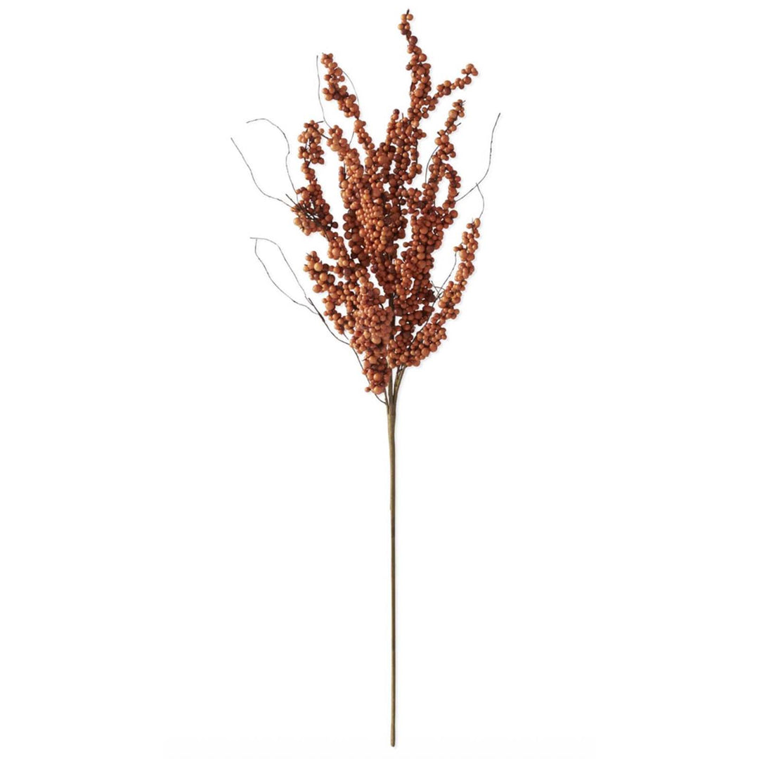 Orange Berry Stem