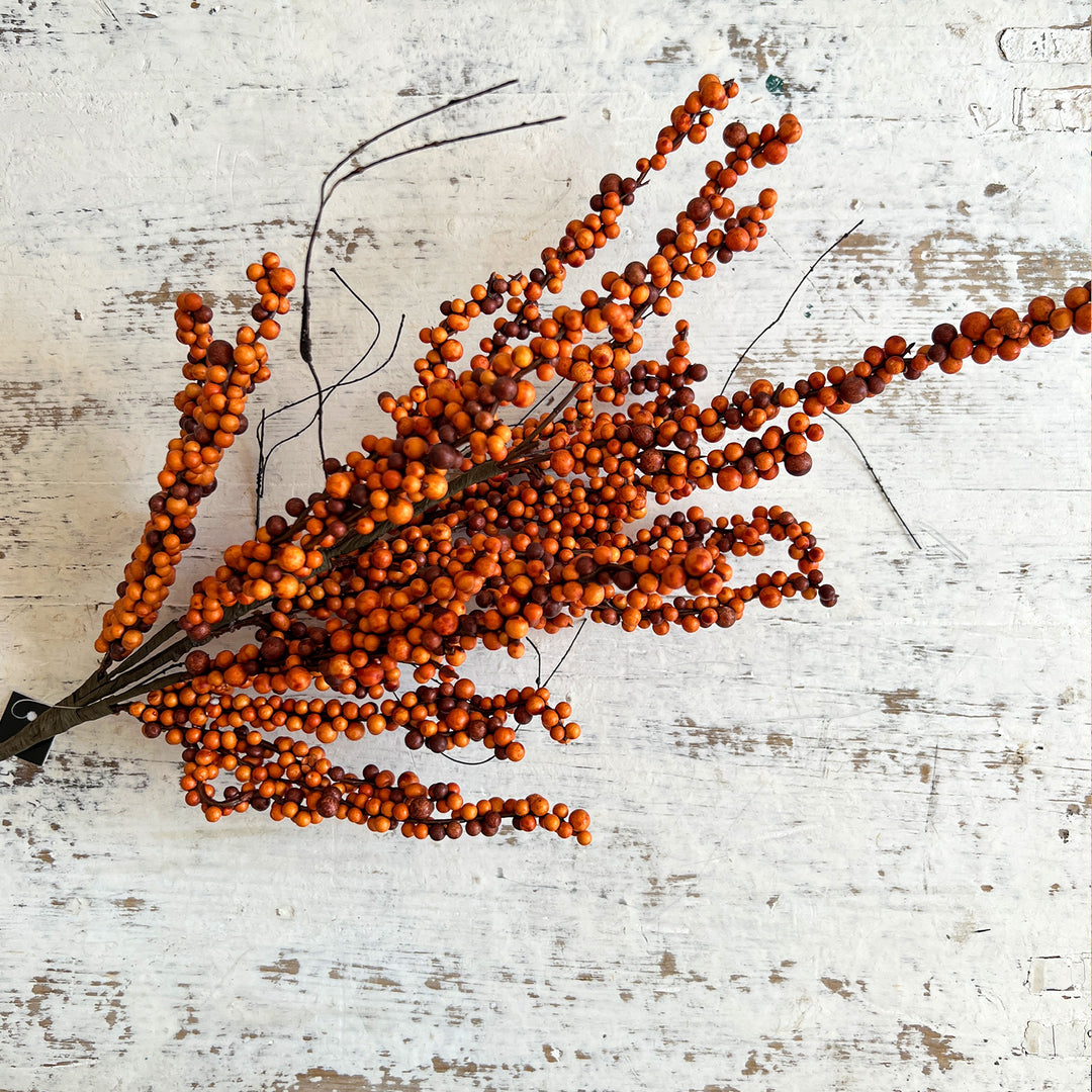 Orange Berry Stem