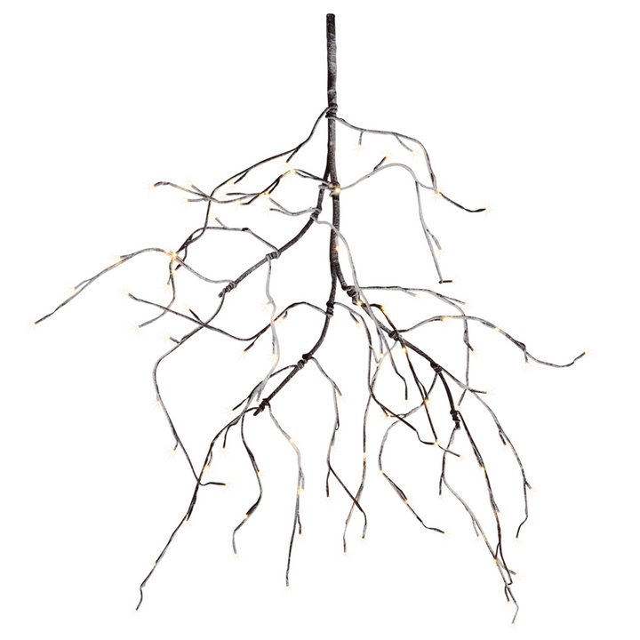 Lit Branch