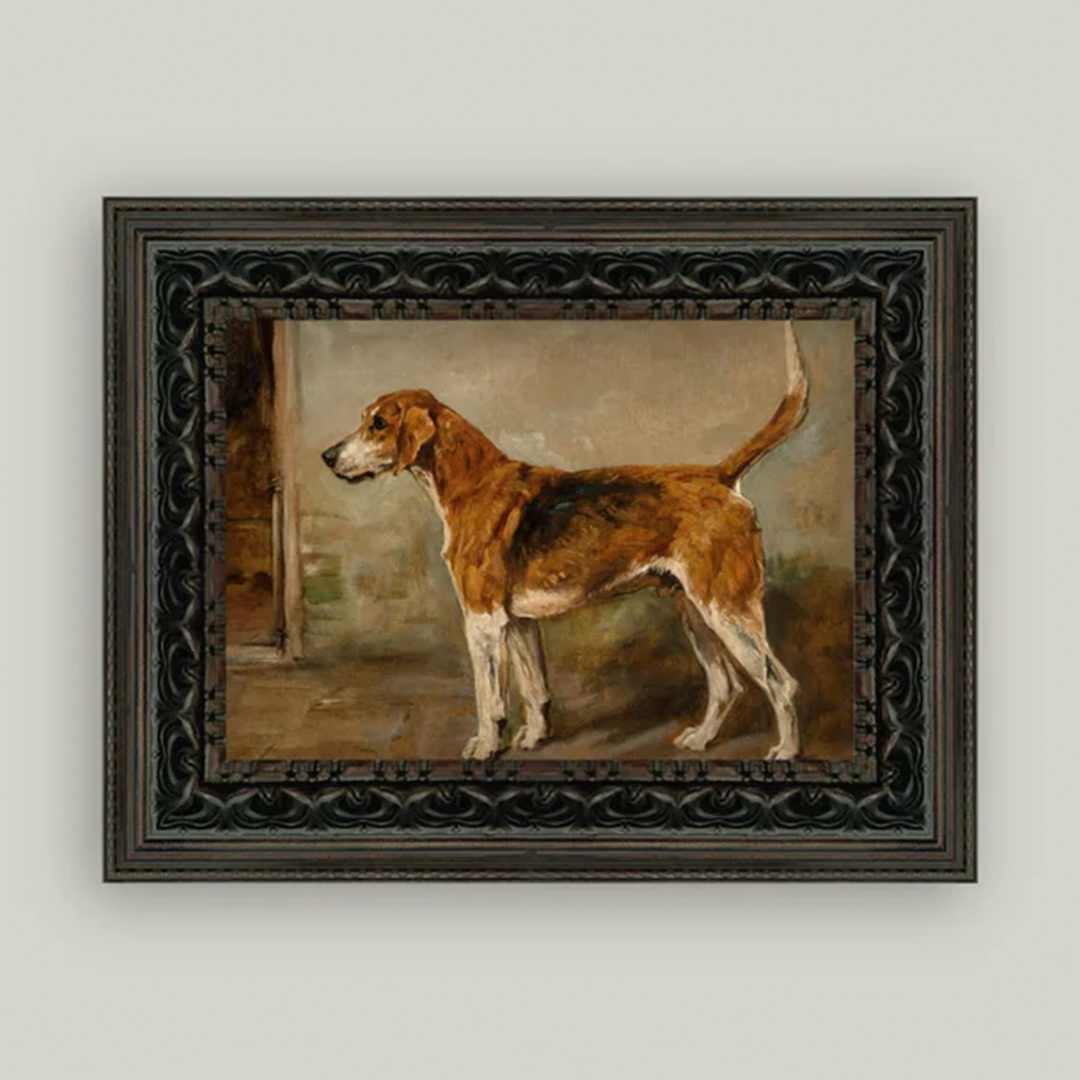 Fox Hound