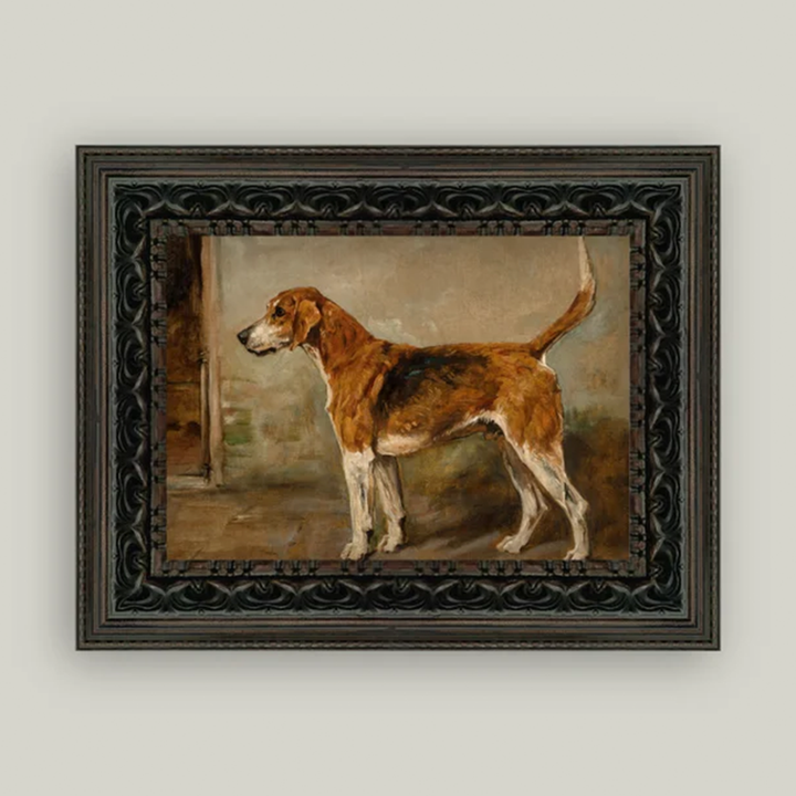 Fox Hound