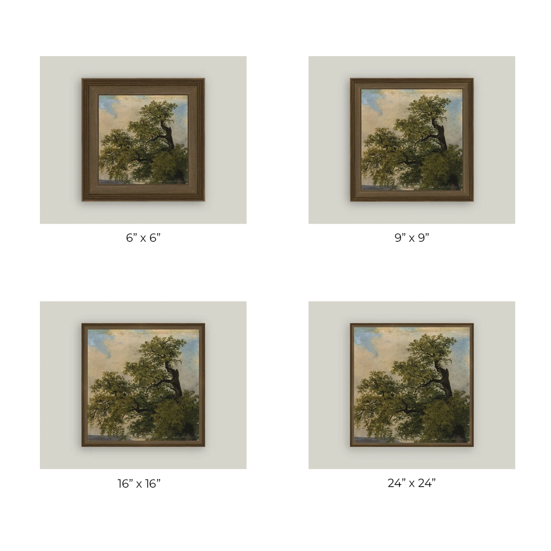Painted Trees