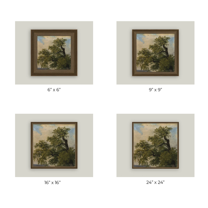 Painted Trees