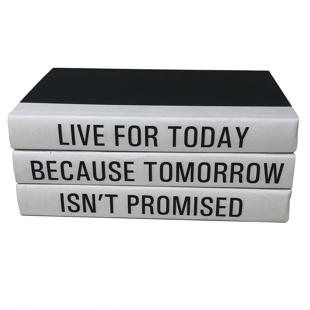 "Tomorrow Isn't Promised" Book Set